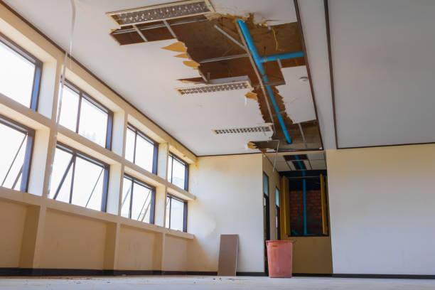 Best Flood restoration services  in Town Line, NY