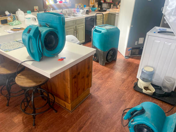 Best Local water damage restoration  in Town Line, NY
