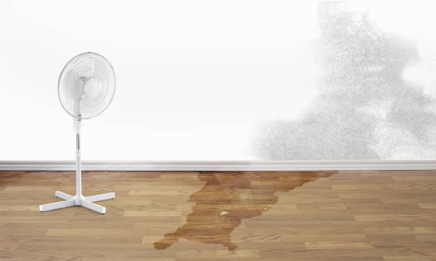 Best Flooded house restoration  in Town Line, NY