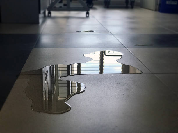 Best Water damage cleanup near me  in Town Line, NY