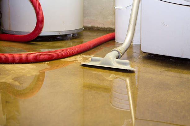 Best Professional water damage repair  in Town Line, NY
