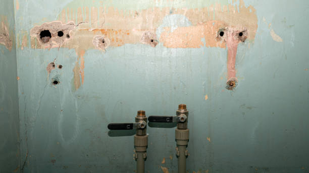 Best Basement water damage restoration  in Town Line, NY