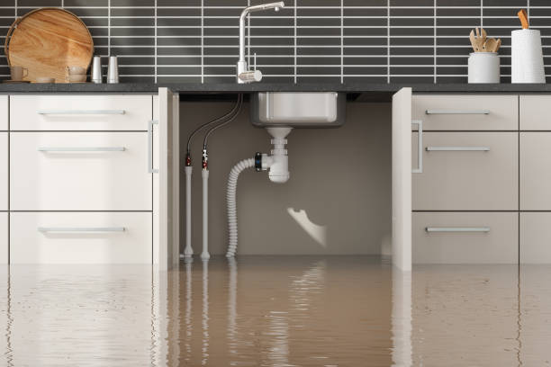 Best Water damage contractors near me  in Town Line, NY