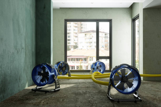 Best Professional water damage repair  in Town Line, NY