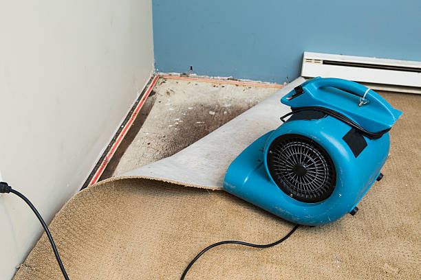 Local water damage restoration in NY